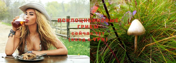 ПСИЛОЦИБИНОВЫЕ ГРИБЫ Нея
