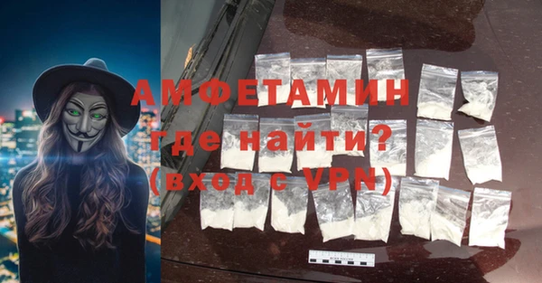 дмт Болотное