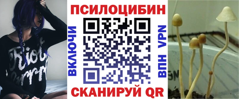 kraken зеркало Белый Галлюциногенные грибы мицелий цены наркотик
